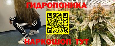 гашик Рязань