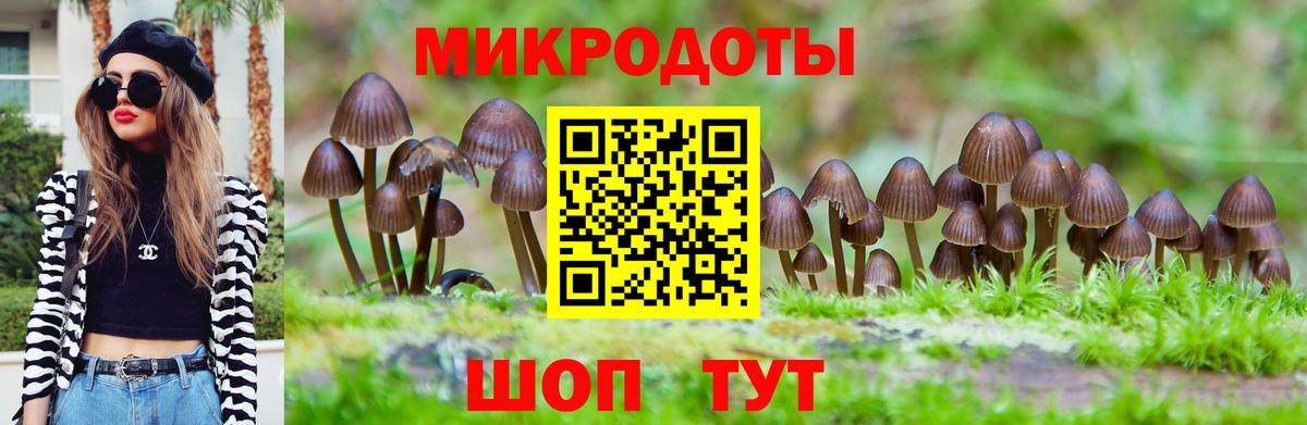 Галлюциногенные грибы мицелий Анжеро-Судженск